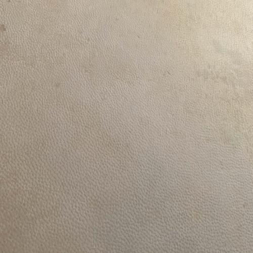 DRAGONSkin classic, ohne Wirbelsäule