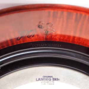 c11-79936bb8 image c11-79936bb8 ::bodhran-info:: – Das ChangeHED System