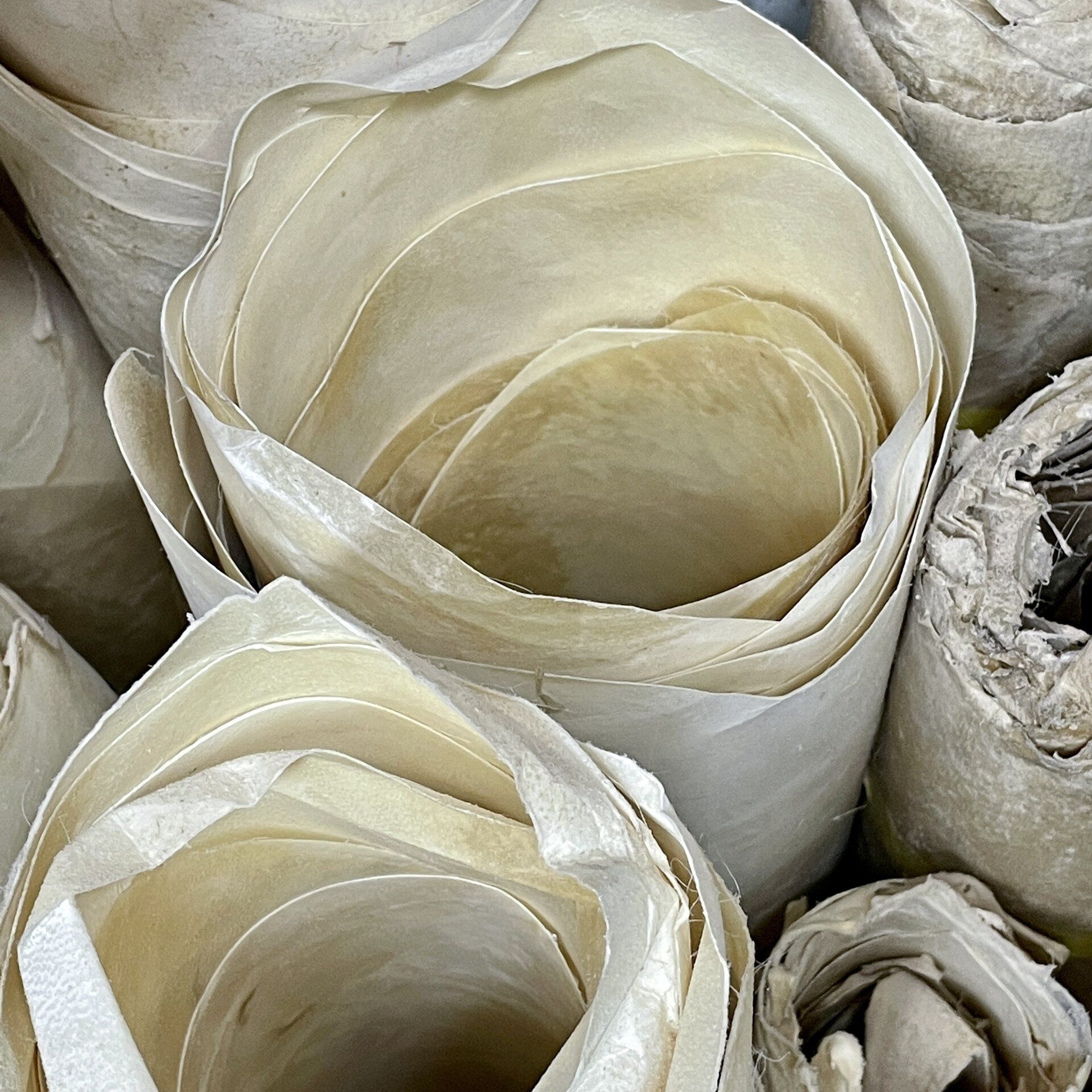 skin1-43e357a4 image skin1-43e357a4 ::bodhran-info:: – Trommelfelle